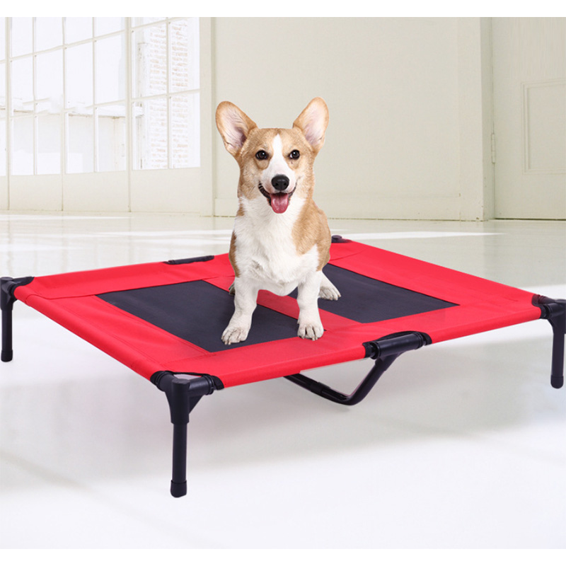 Training Your Dog Using an Elevated Cot Bed